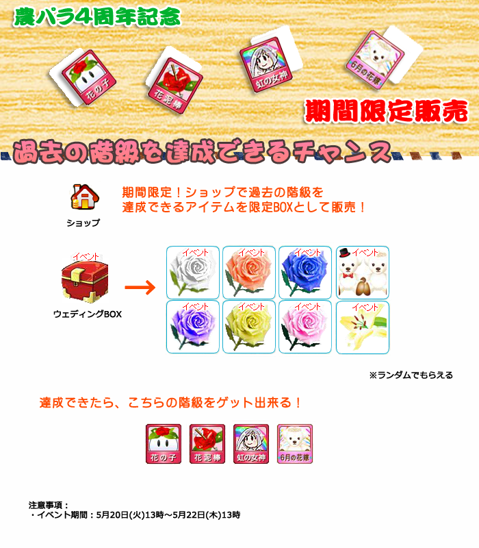 階級期間限定販売MT.png