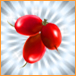 126_植物_ミラクルフルーツ_蔬果银76_76.jpg