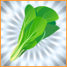 164_植物_小松菜_蔬果银76_76.jpg