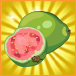 165_植物_グァバ蔬果金76_76.jpg
