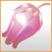 item_76_76_asebi.jpg