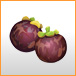 7676_mangosteen.jpg