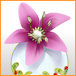 http://easygame.jp/nopara/assets_c/2016/06/%E3%82%AF%E3%82%B3_%E7%BD%AE%E7%89%A9_76_76-thumb-76x76-6504-thumb-76x76-6505.jpg