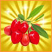 136.jpgのサムネール画像