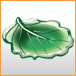 item_76_76_lettuce_dish.jpg