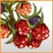 raspberry76_76.jpg