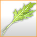 shop_76_76_水菜.jpg