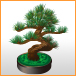 shop_76_76_bonsai.jpg