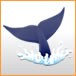 shop_76_76_whale_sign.jpg