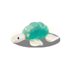 turtle_glass.png