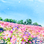 花畑.pngのサムネール画像