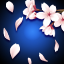 桜の花びら.png